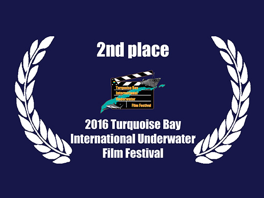 <em>Tales of the Sand</em> remporte le 2eme Prix au Turquoise Bay International Underwater Film Festival