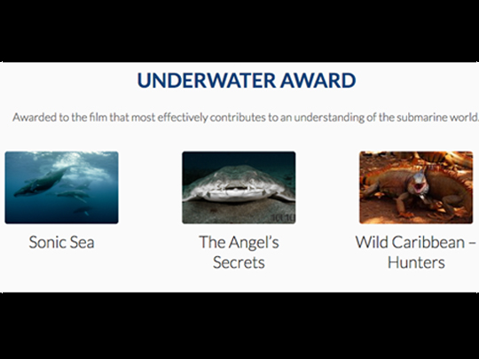<em>The Angel’s Secrets</em>, nominated for the Underwater Award at the Wildlife Film Festival in Rotterdam